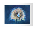 Cuteechidna (Giclee Print) Limited Edition
