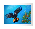 Glossy 1 (Giclee print) Limited Edition