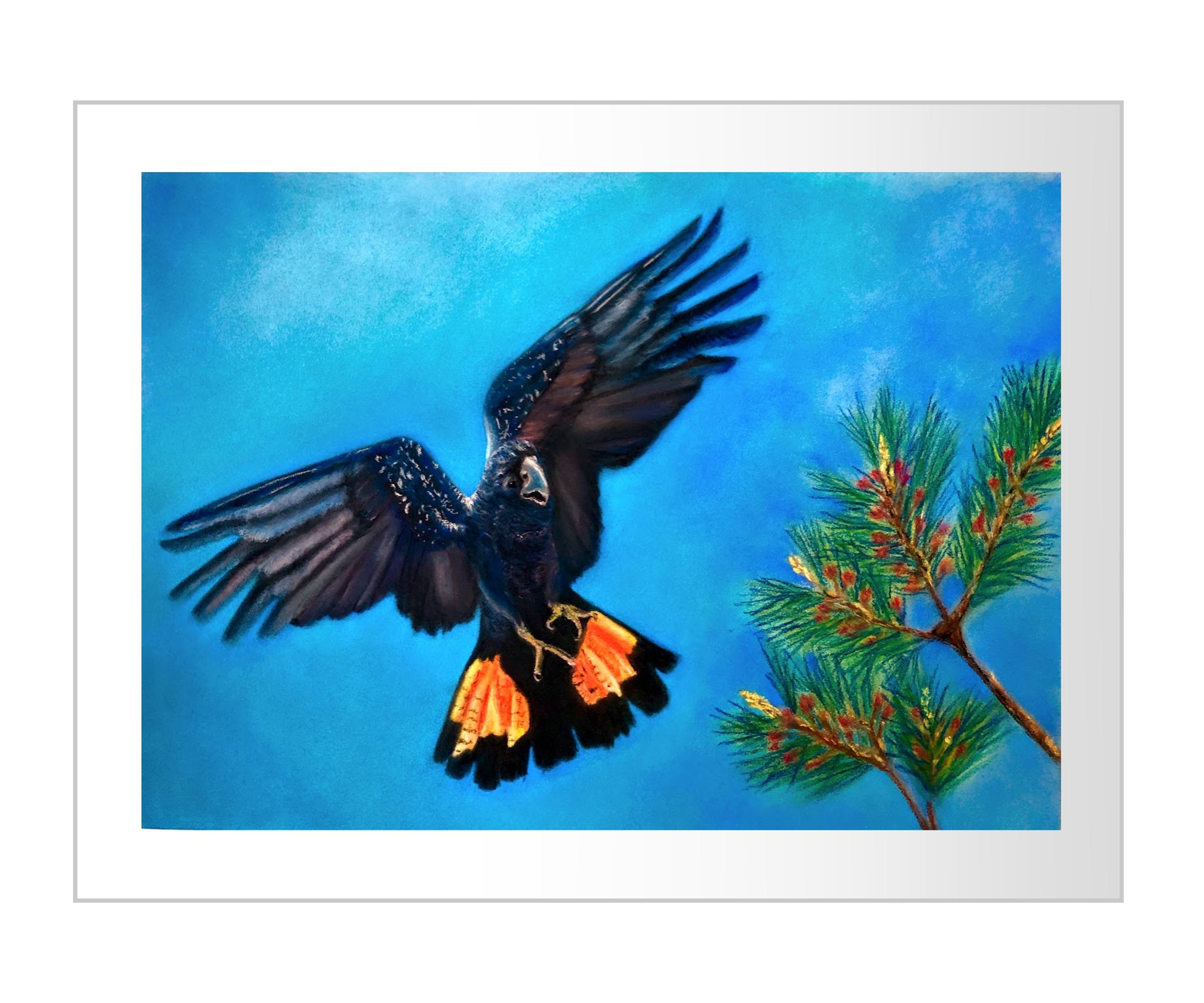 Glossy 1 (Giclee print) Limited Edition